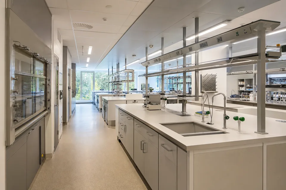Purpose-built laboratory interior with work benches, utilities and ventilation